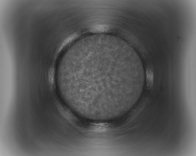 X0000103900396200809261553