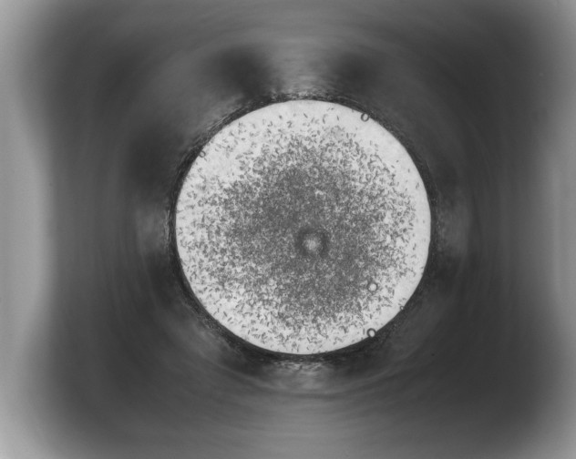 X0000103900401200809261553