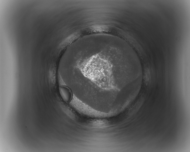 X0000103900402200809261553