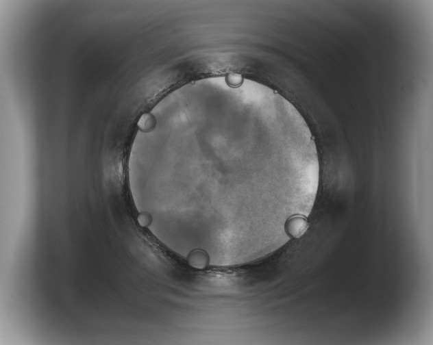 X0000103900405200809261553