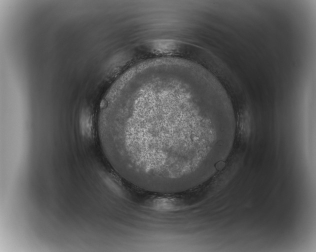 X0000103900408200809261553