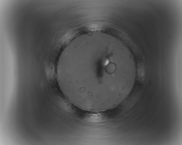 X0000103900411200809261553