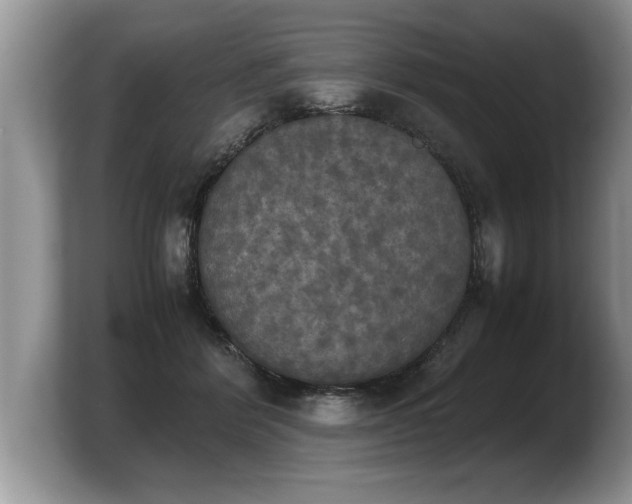 X0000103900412200809261553