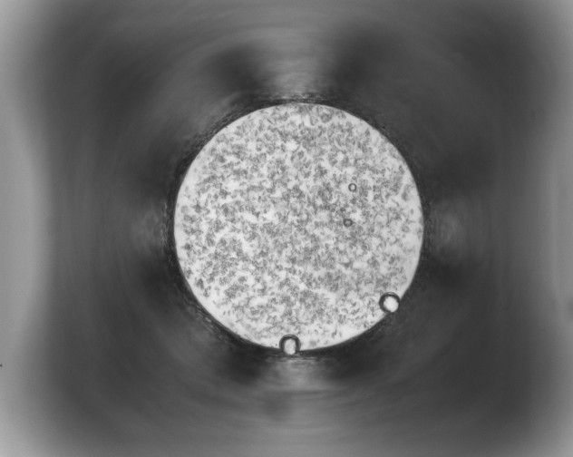 X0000103900413200809261553