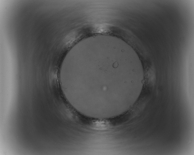 X0000103900415200809261553