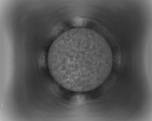 X0000103900416200809261553