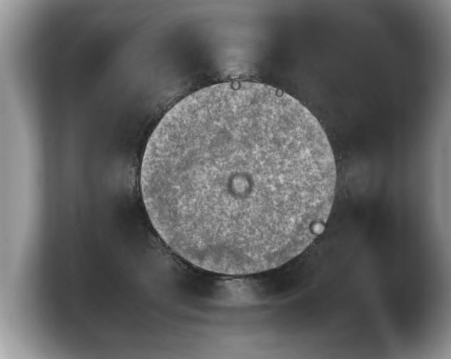 X0000103900417200809261553