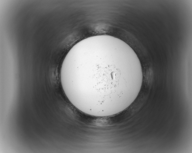 X0000103900418200809261553