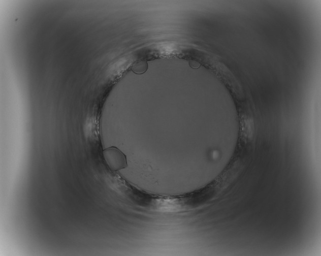 X0000103900419200809261553