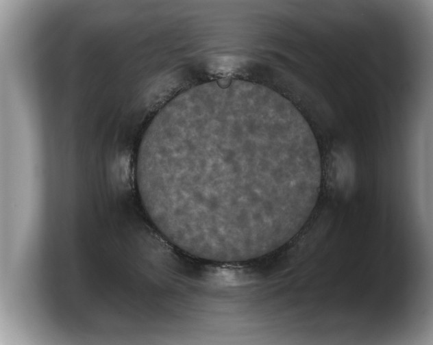 X0000103900420200809261553