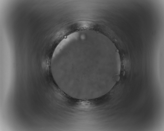 X0000103900423200809261553