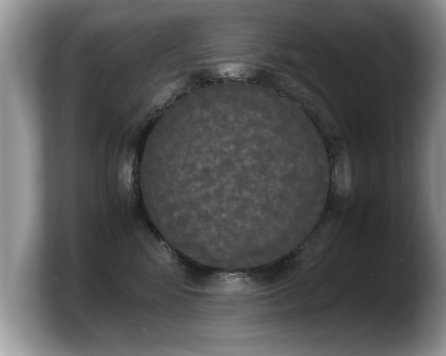 X0000103900424200809261553