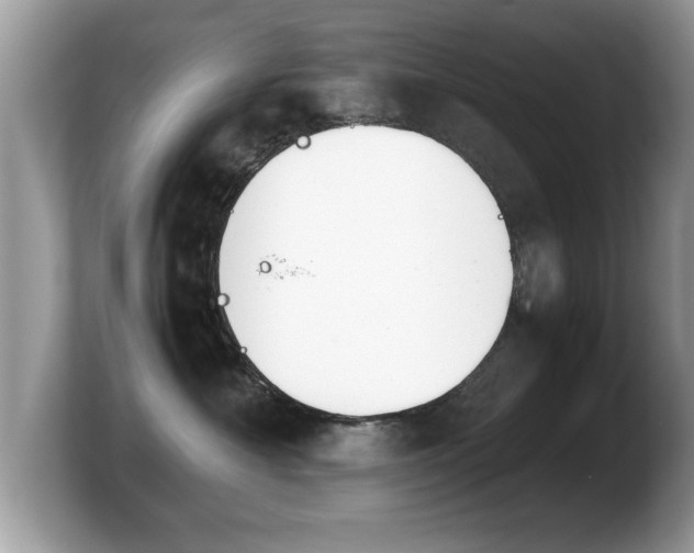 X0000103900430200809261553