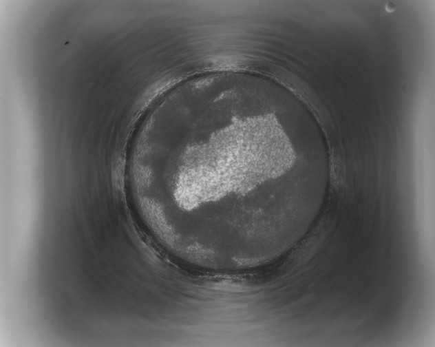 X0000103900434200809261552