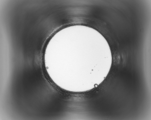 X0000103900436200809261552