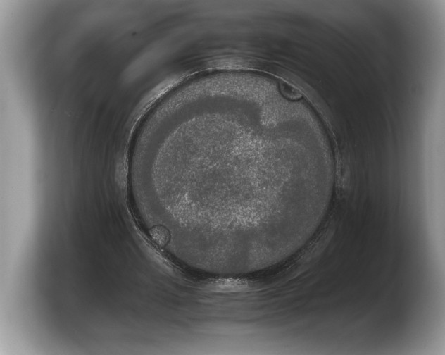 X0000103900437200809261552
