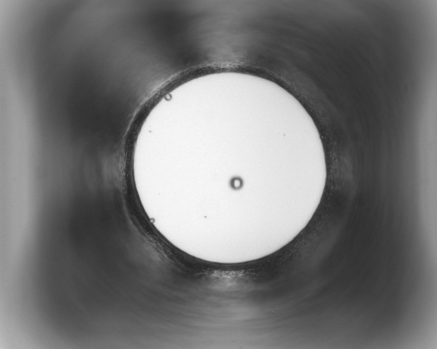 X0000103900440200809261552