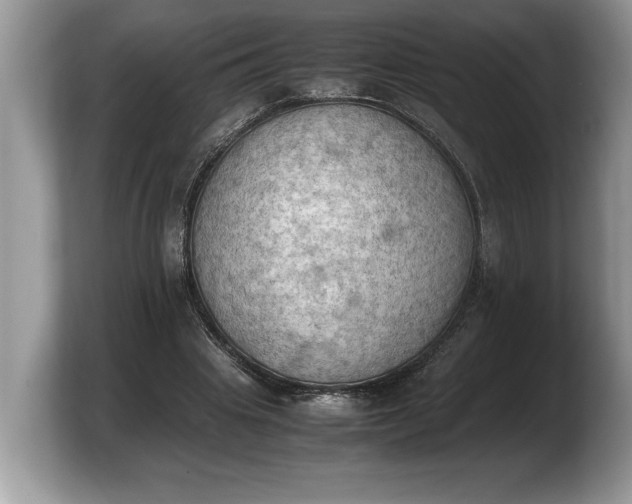 X0000103900441200809261552