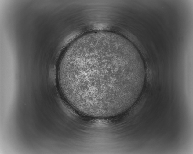 X0000103900442200809261552