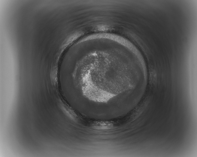 X0000103900443200809261552