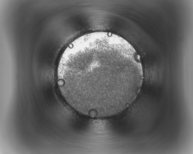 X0000103900444200809261553