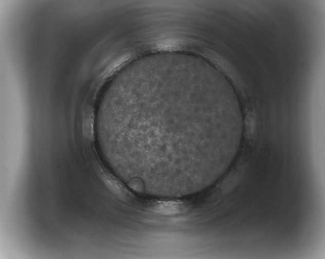 X0000103900446200809261553