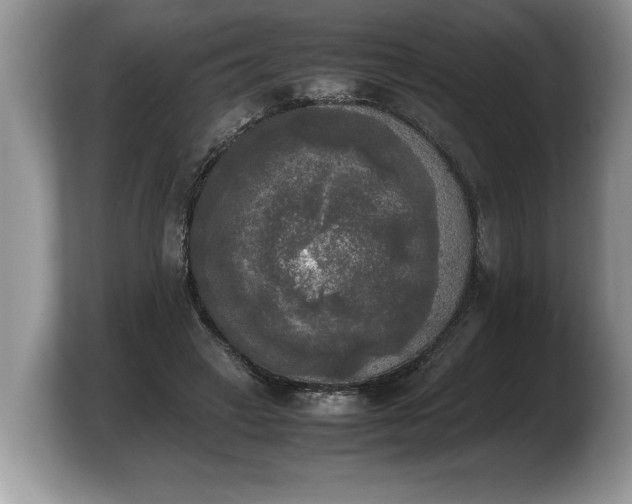 X0000103900449200809261553