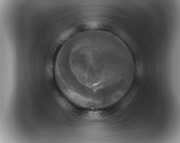 X0000103900450200809261553