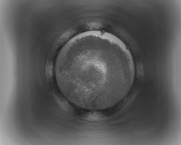 X0000103900451200809261553