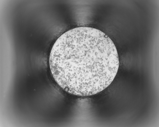 X0000103900452200809261553