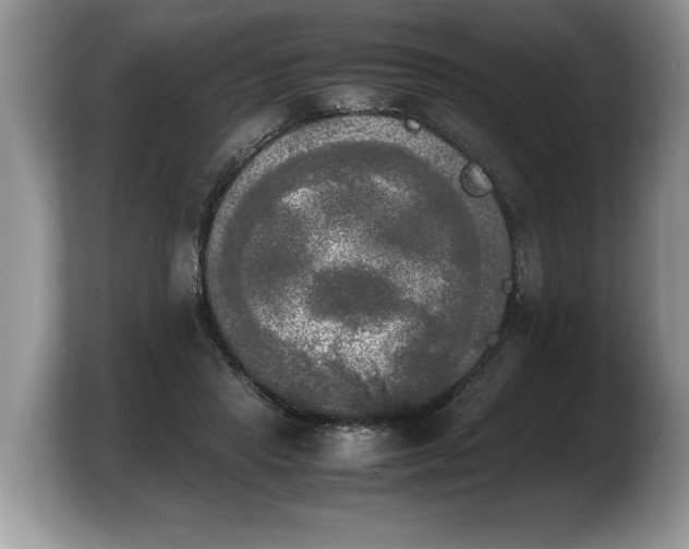 X0000103900453200809261553