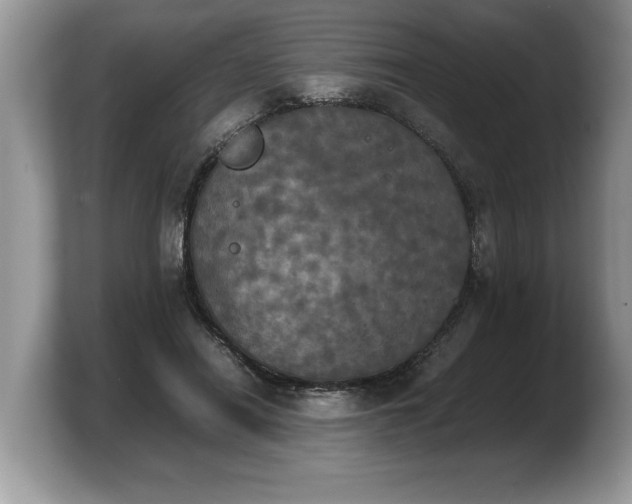 X0000103900454200809261553
