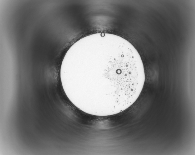 X0000103900456200809261553