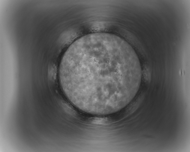 X0000103900458200809261553