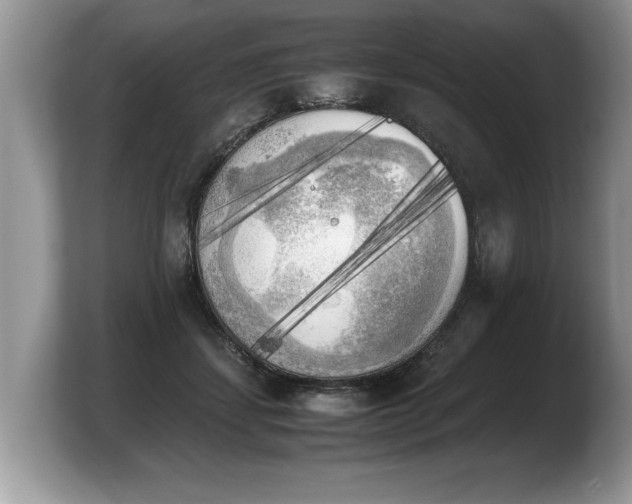 X0000103900459200809261553