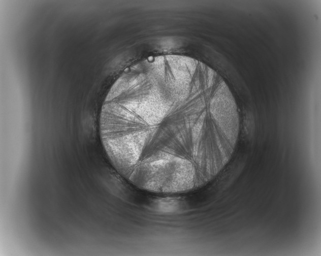 X0000103900461200809261553