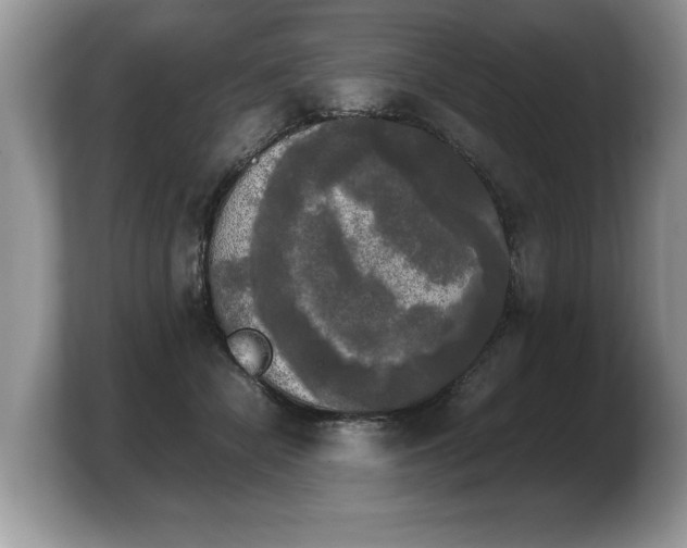 X0000103900462200809261553