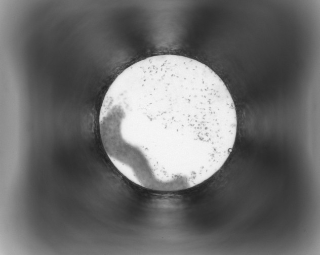 X0000103900463200809261553