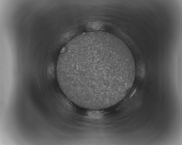 X0000103900465200809261553
