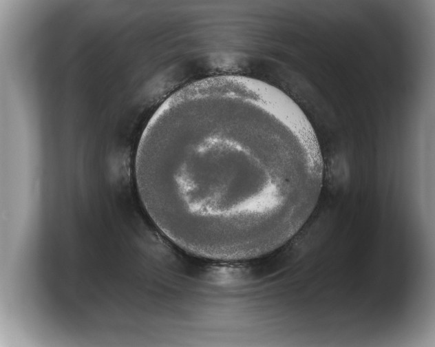 X0000103900466200809261553