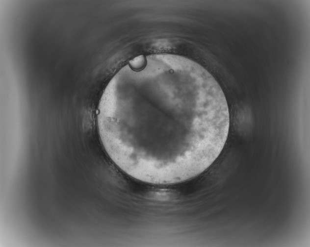X0000103900467200809261553
