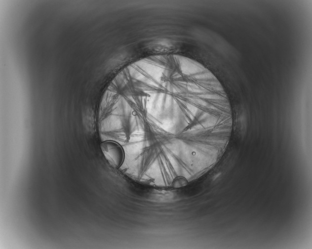 X0000103900469200809261553