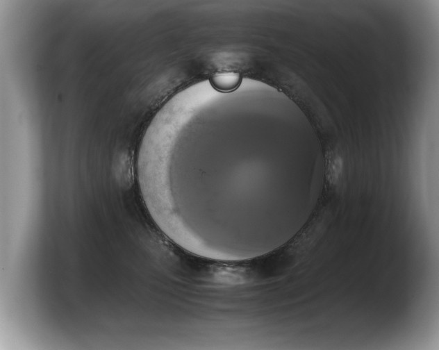 X0000103900471200809261553