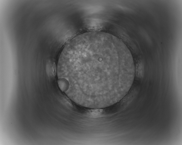 X0000103900474200809261553