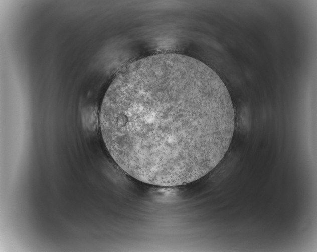 X0000103900478200809261553