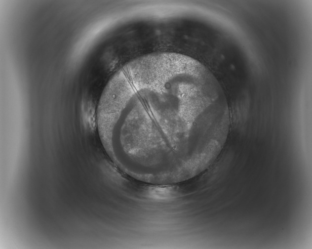 X0000103900479200809261553