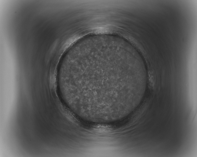 X0000103900487200809261552