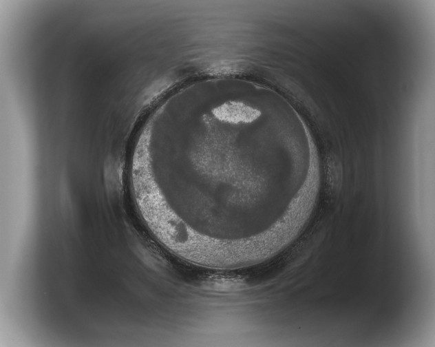 X0000103900491200809261552