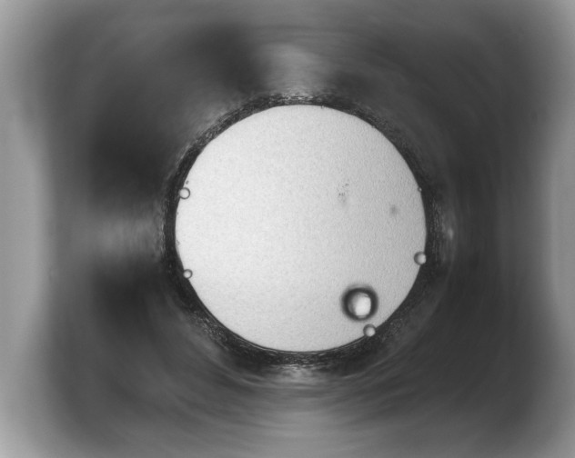 X0000103900496200809261552