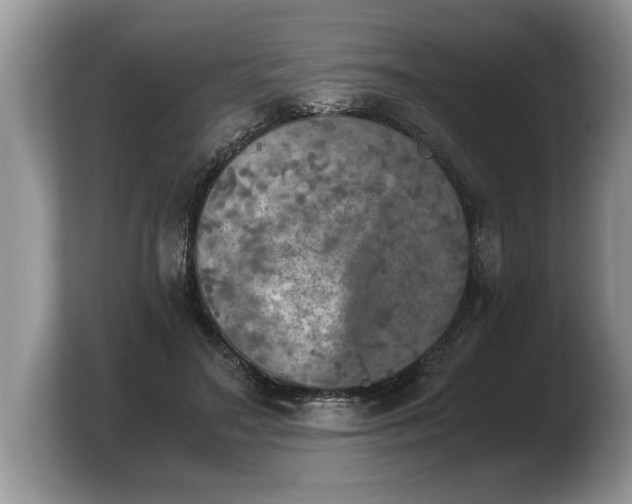 X0000103900499200809261552